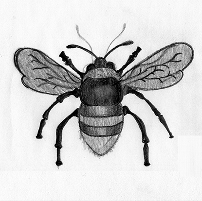 003_Kolar_Bees72